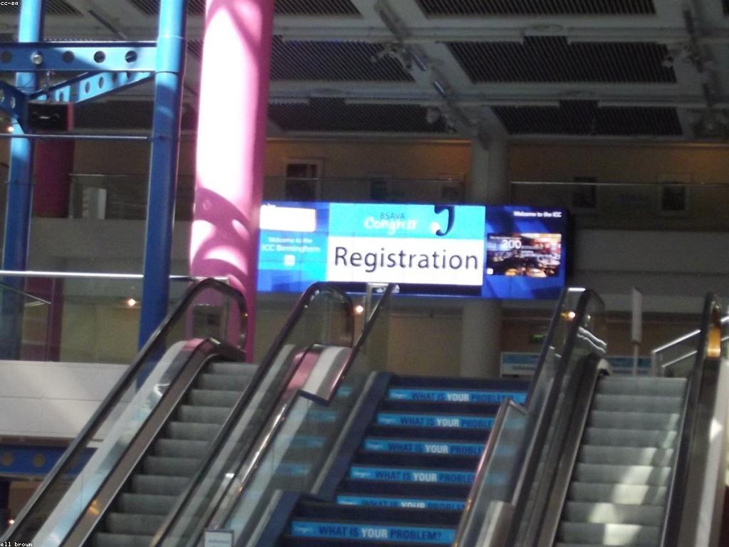 ជំហានសំខាន់ៗក្នុងការចុះឈ្មោះ